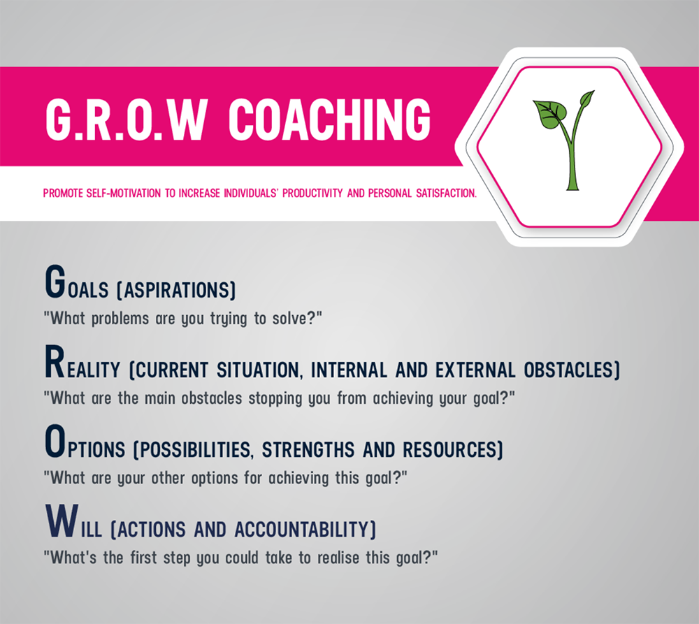 5 Pack Seedling Tray with Grow Light,Plant Seed Starter Trays Kit ... 5 Pack Seedling Tray with Grow Light,Plant Seed Starter Trays Kit ...