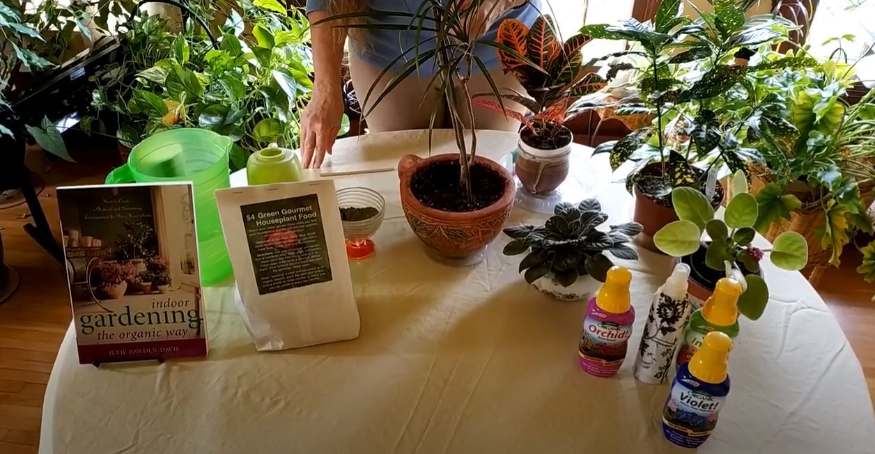 How to Fertilize Houseplants for Optimal Growth - Bark and Chase How to Fertilize Houseplants for Optimal Growth - Bark and Chase
