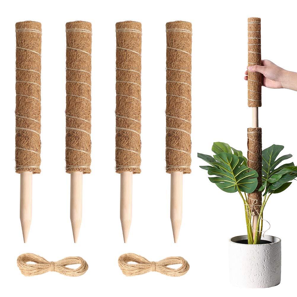 Build an Easy DIY Moss Pole for Climbing Plants | Climbing plants ... Build an Easy DIY Moss Pole for Climbing Plants | Climbing plants ...