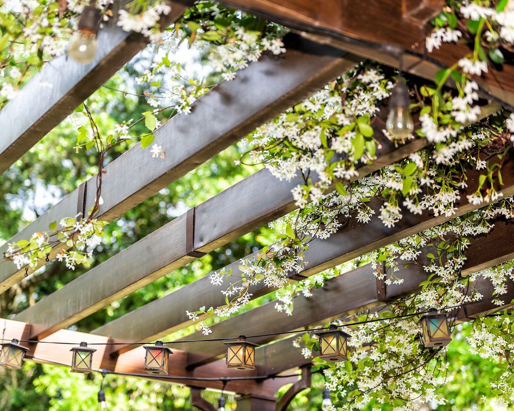 How to keep plants alive in a heatwave - Sustainable Holly