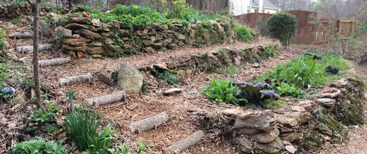 How To Create A Microclimate In Your Garden | Fasci Garden How To Create A Microclimate In Your Garden | Fasci Garden