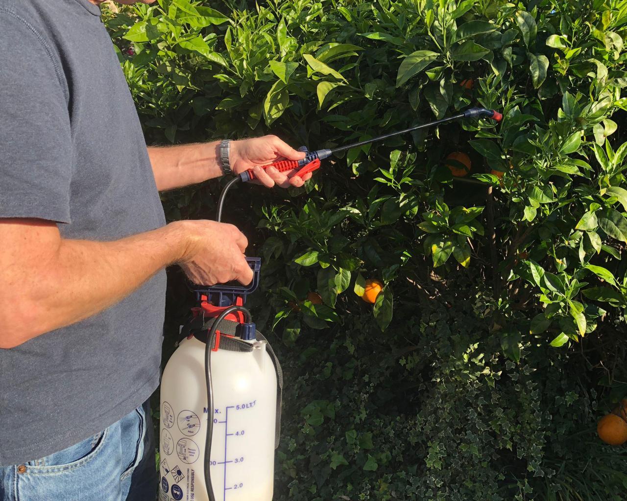 How to Use Neem Oil As an Organic Insecticide | GreenStories How to Use Neem Oil As an Organic Insecticide | GreenStories