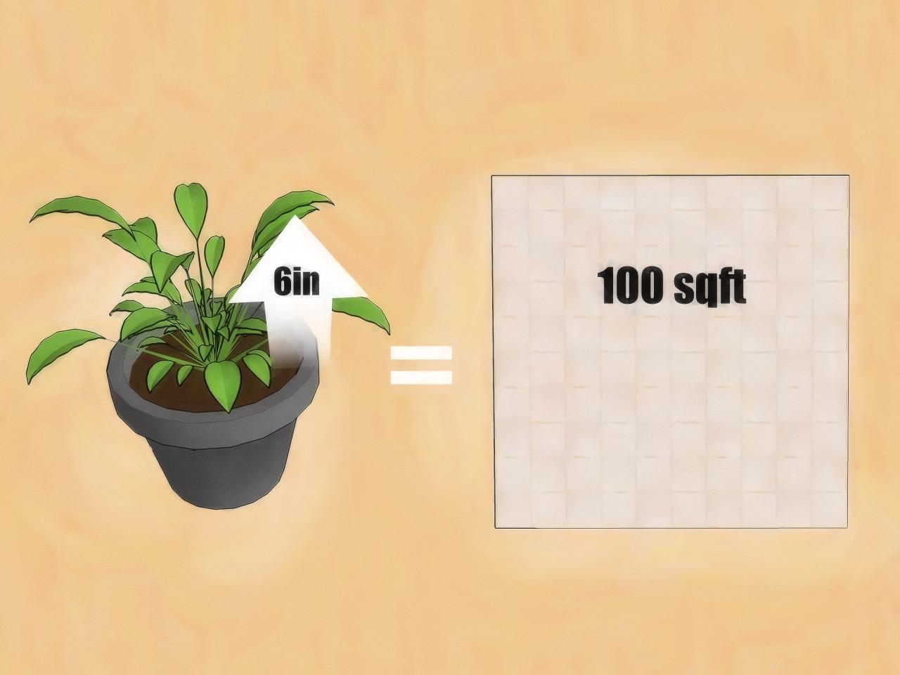 How to Purify the Air Using Plants (with Pictures) - wikiHow How to Purify the Air Using Plants (with Pictures) - wikiHow