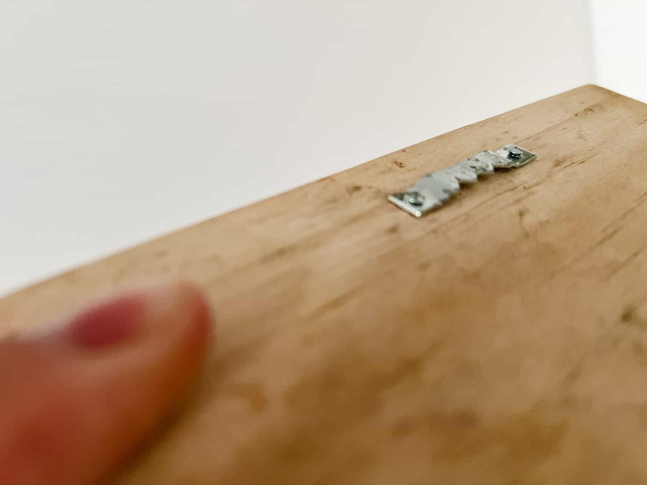 The Easiest and Best Staghorn Fern Mounting Guide | 136 home