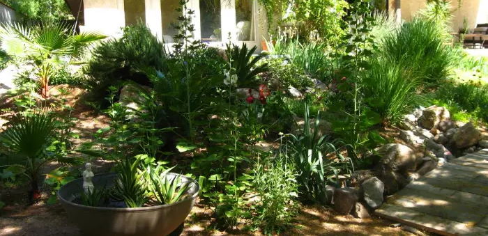 Choosing the Right Plants for your Microclimate – Each Green Corner Choosing the Right Plants for your Microclimate – Each Green Corner