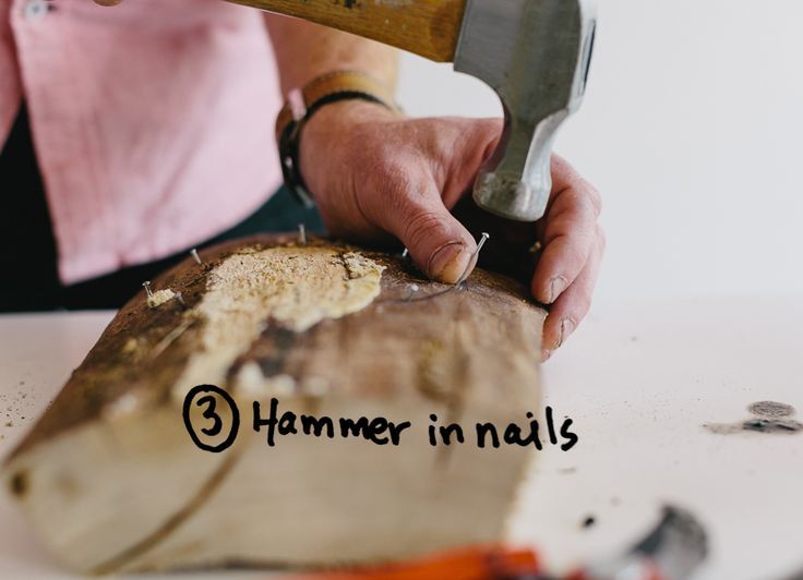 How To Mount a Staghorn Fern on a Board - Easy DIY | Staghorn fern ...