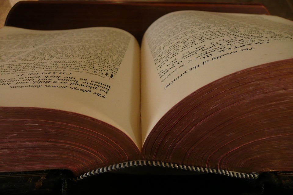 Book Open Reading · Free photo on Pixabay Book Open Reading · Free photo on Pixabay