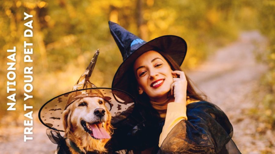 Dairy Queen’s 21st Annual Miracle Treat Day: Making Miracles Happen for ... Dairy Queen’s 21st Annual Miracle Treat Day: Making Miracles Happen for ...