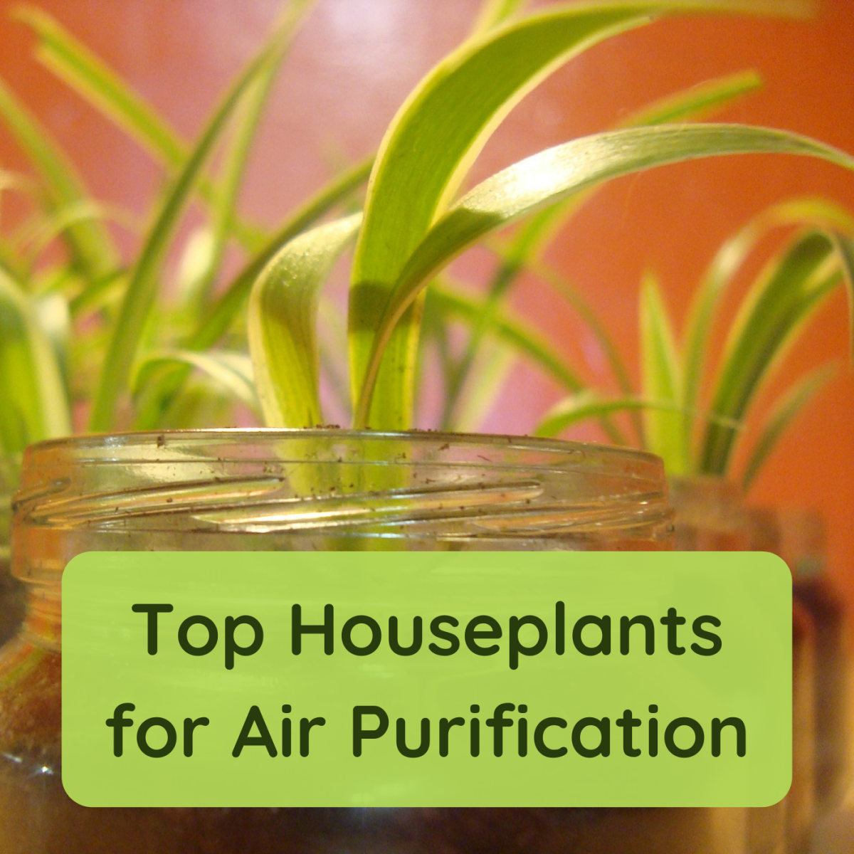 3 Simple Ways to Purify Your Home's Air - Complete Air Mechanical 3 Simple Ways to Purify Your Home's Air - Complete Air Mechanical