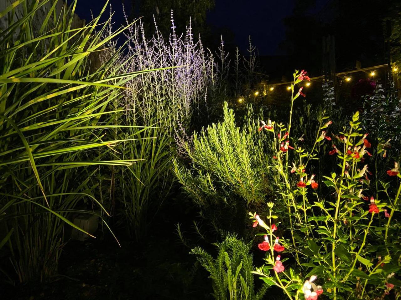 Lighting your garden for winter - Hollandscapes Lighting your garden for winter - Hollandscapes