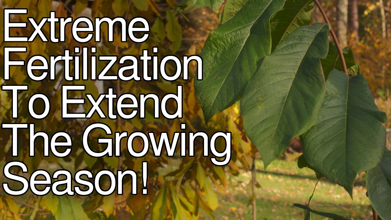 How to Prevent From Too Much Fertilizer? | Fertilizer, Organic compost ... How to Prevent From Too Much Fertilizer? | Fertilizer, Organic compost ...