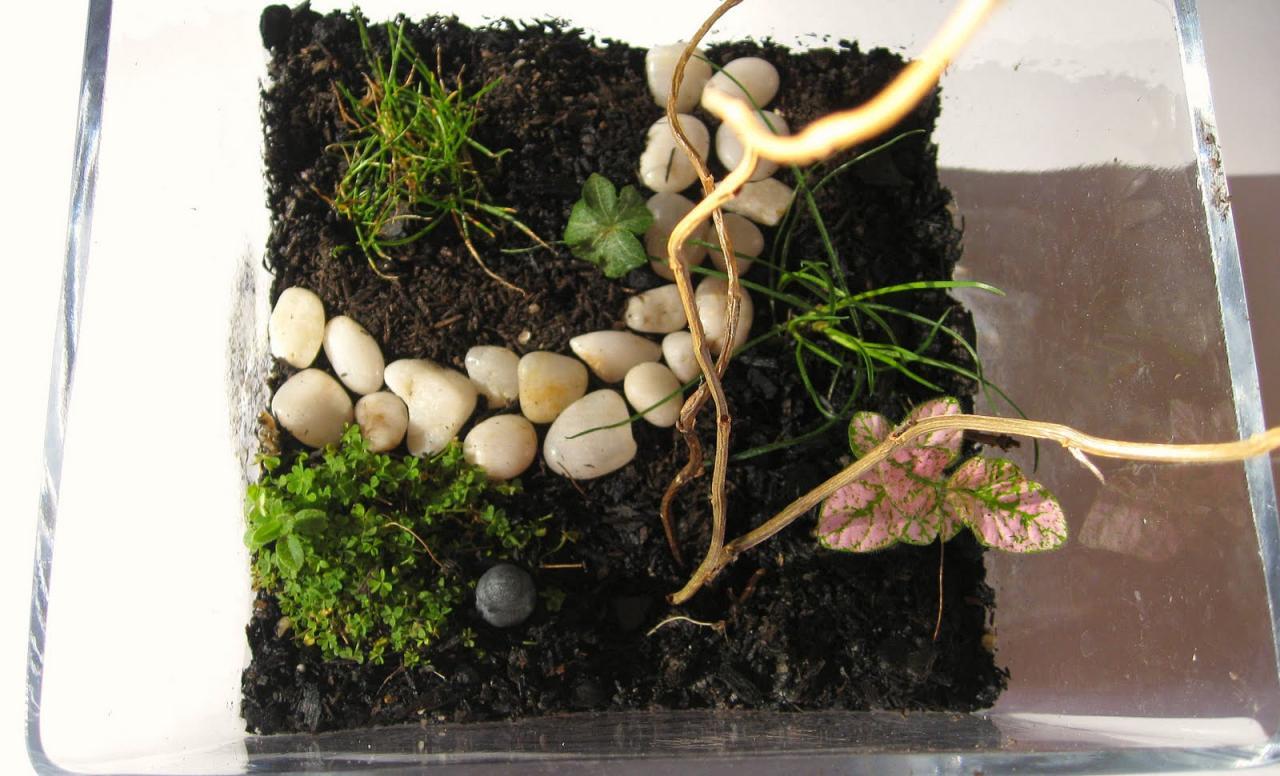 How to Make a Terrarium with Personality Photos | Architectural Digest